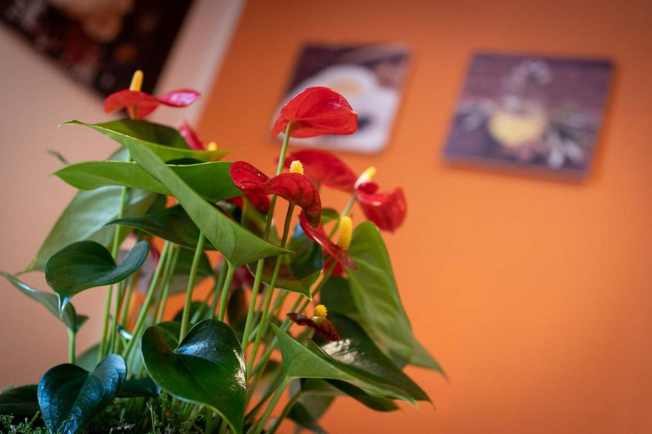 Appartamento Casa Martina- Airport Free Shuttle-H24 Bergamo Esterno foto